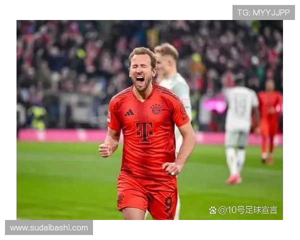 哪些德甲球队曾在本赛季遭遇降级？