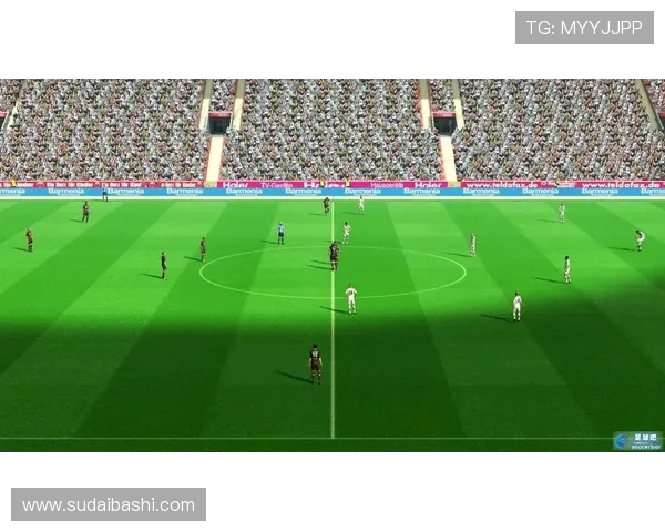 德甲各球队球场介绍与高清全景视频资源整理