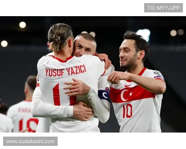 法甲外援市场趋势分析：球员来源国与交易热点分布