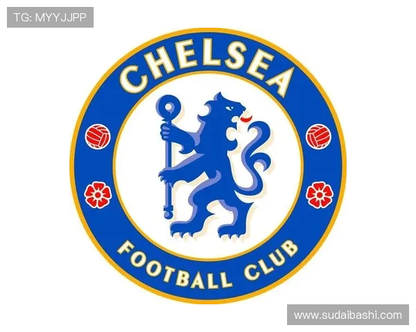 英超20支球队英文简写一览与含义对照表 .